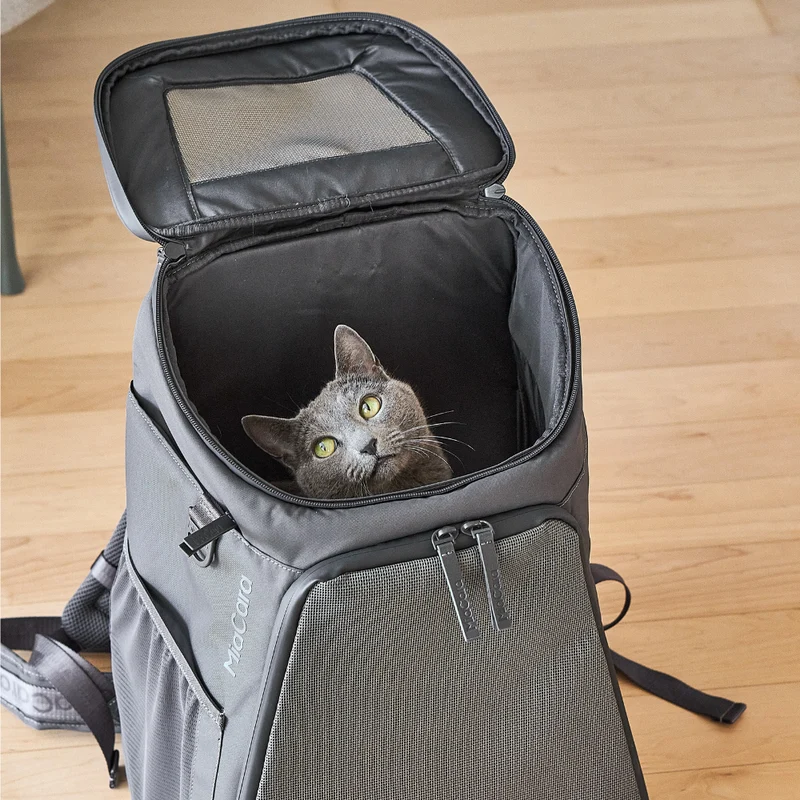 Katzenrucksack ZAINO Asphalt