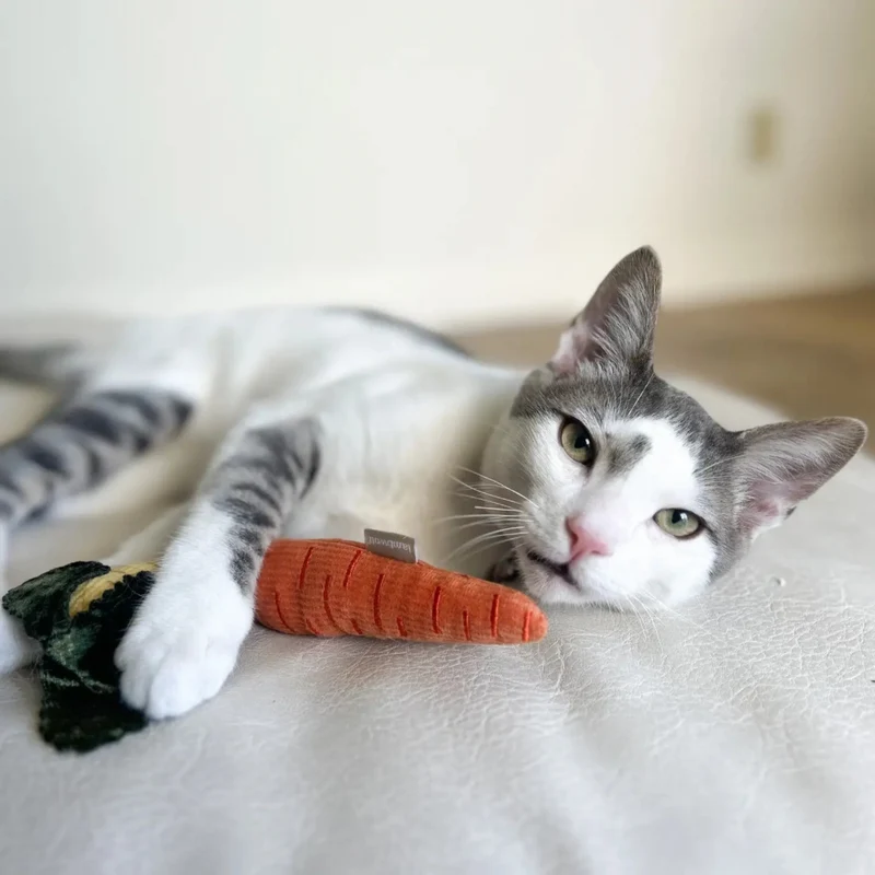 Katzenspielzeug BABY CARROTS Karotten