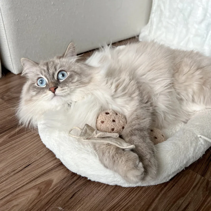 Katzenspielzeug TEA TIME Teezeit