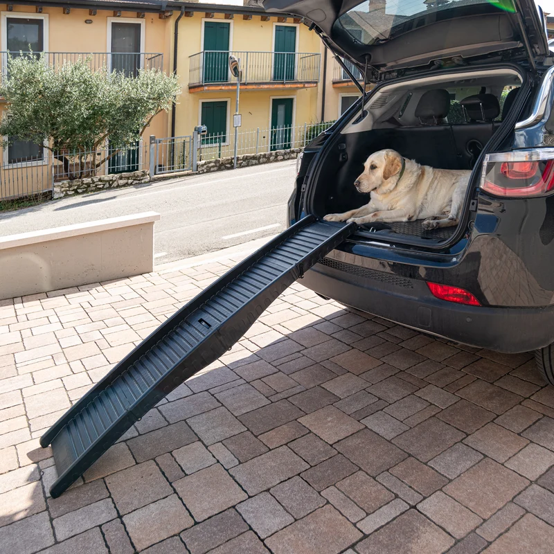 DOG RAMP