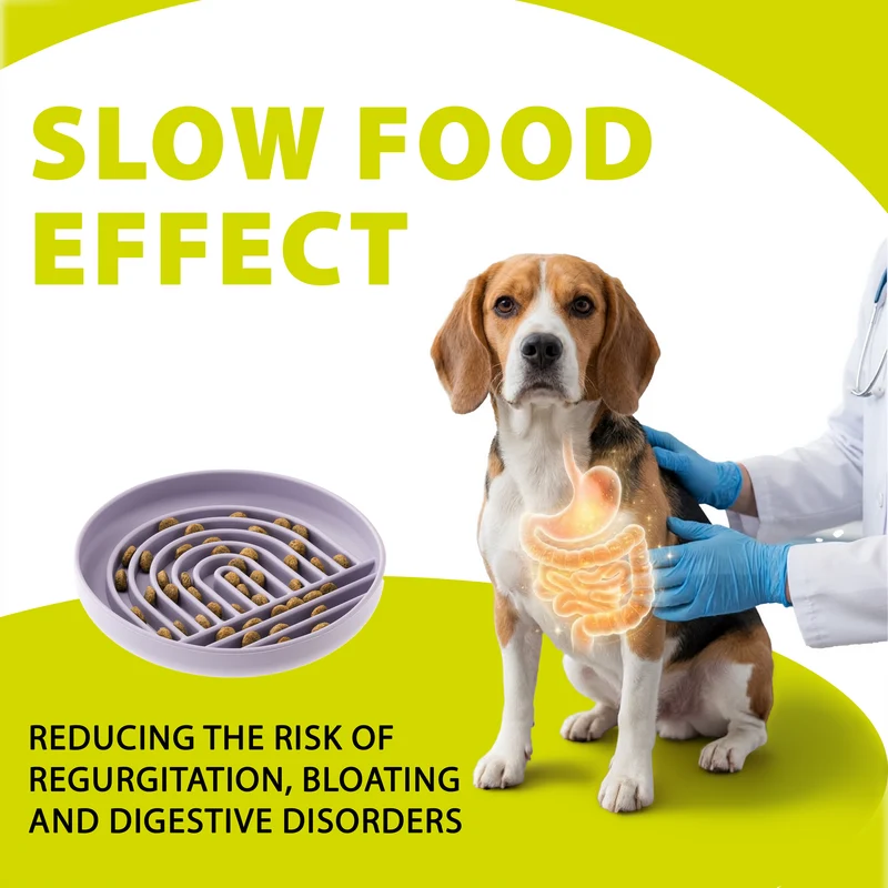 SLOW FEEDING BOWL