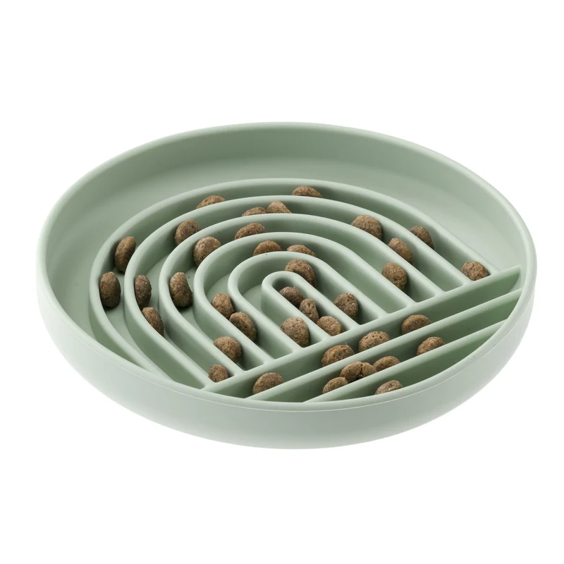 SLOW FEEDING BOWL
