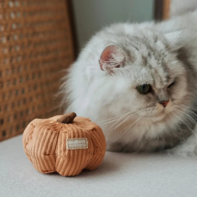 Katzenspielzeug KITTY VEGGIE Set Kürbis + Kohl