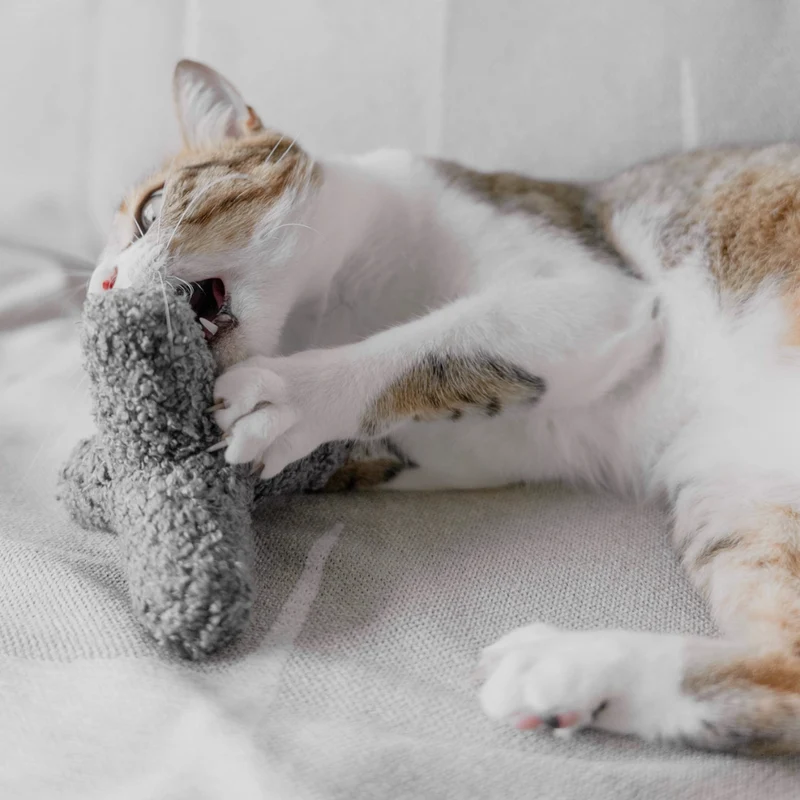 Katzenspielzeug KITTY BREUER Charcoal