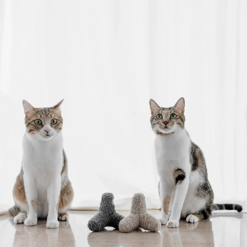 Katzenspielzeug KITTY BREUER Hafer
