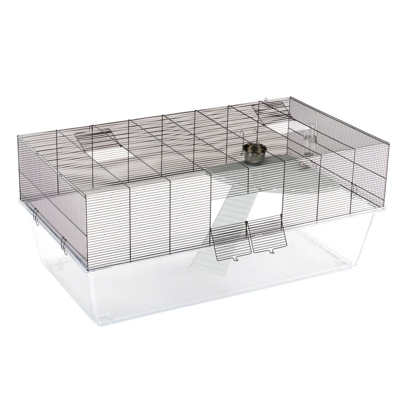 GLASSY 120