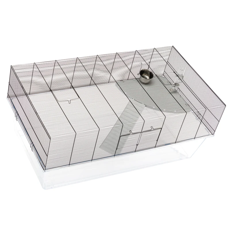 GLASSY 120