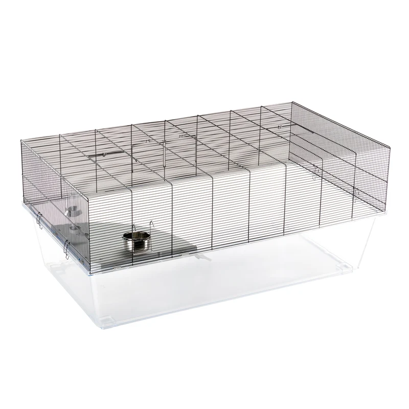 GLASSY 120
