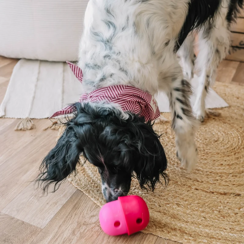 Fun Feeder Leckerlie-Spender von Babelle for Dogs