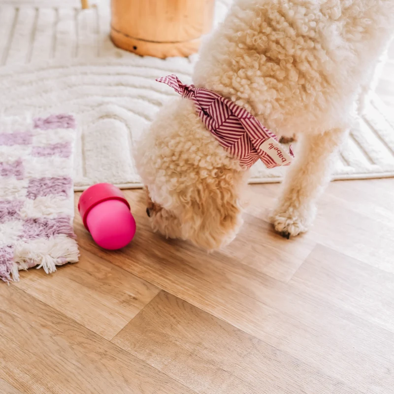 Fun Feeder Leckerlie-Spender von Babelle for Dogs