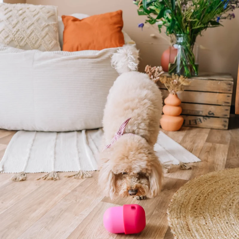 Fun Feeder Leckerlie-Spender von Babelle for Dogs