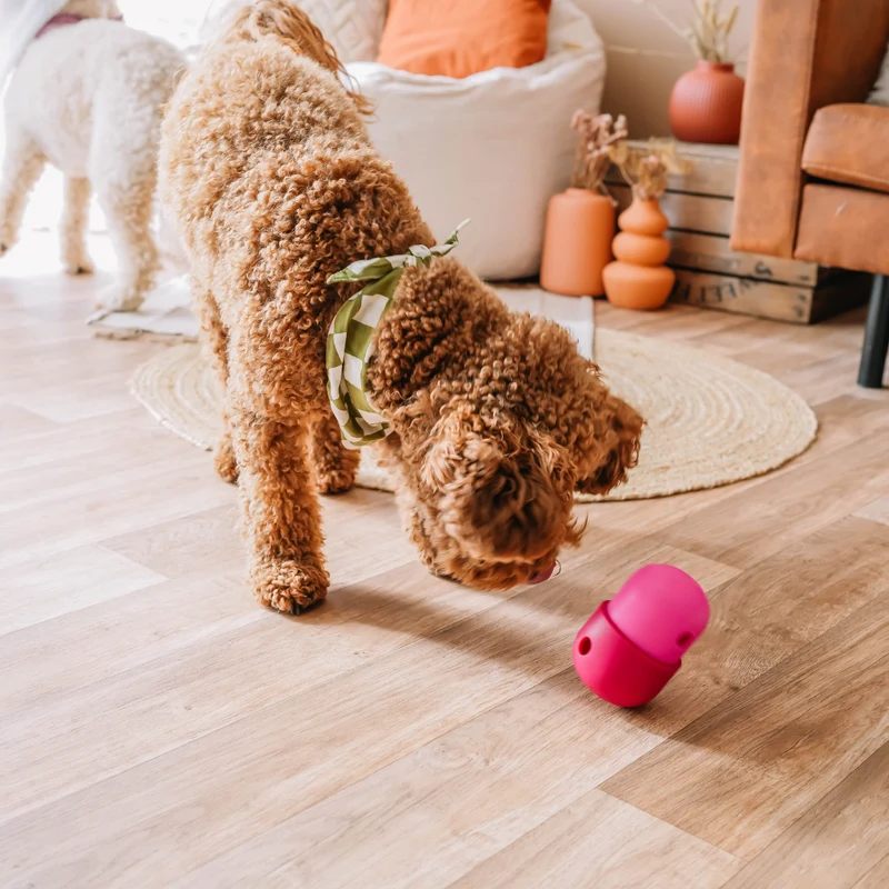 Fun Feeder Leckerlie-Spender von Babelle for Dogs