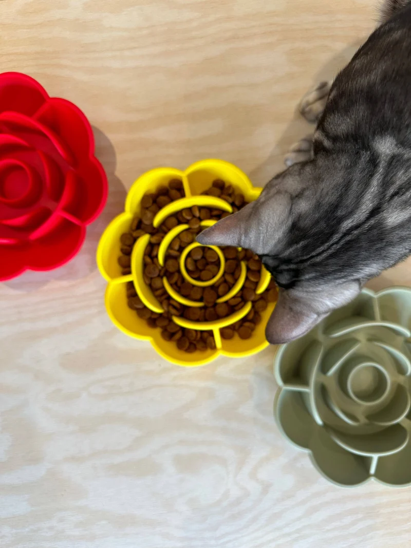 Wildbite Flower Anti-Schling Bowl Rot für Hunde & Katzen