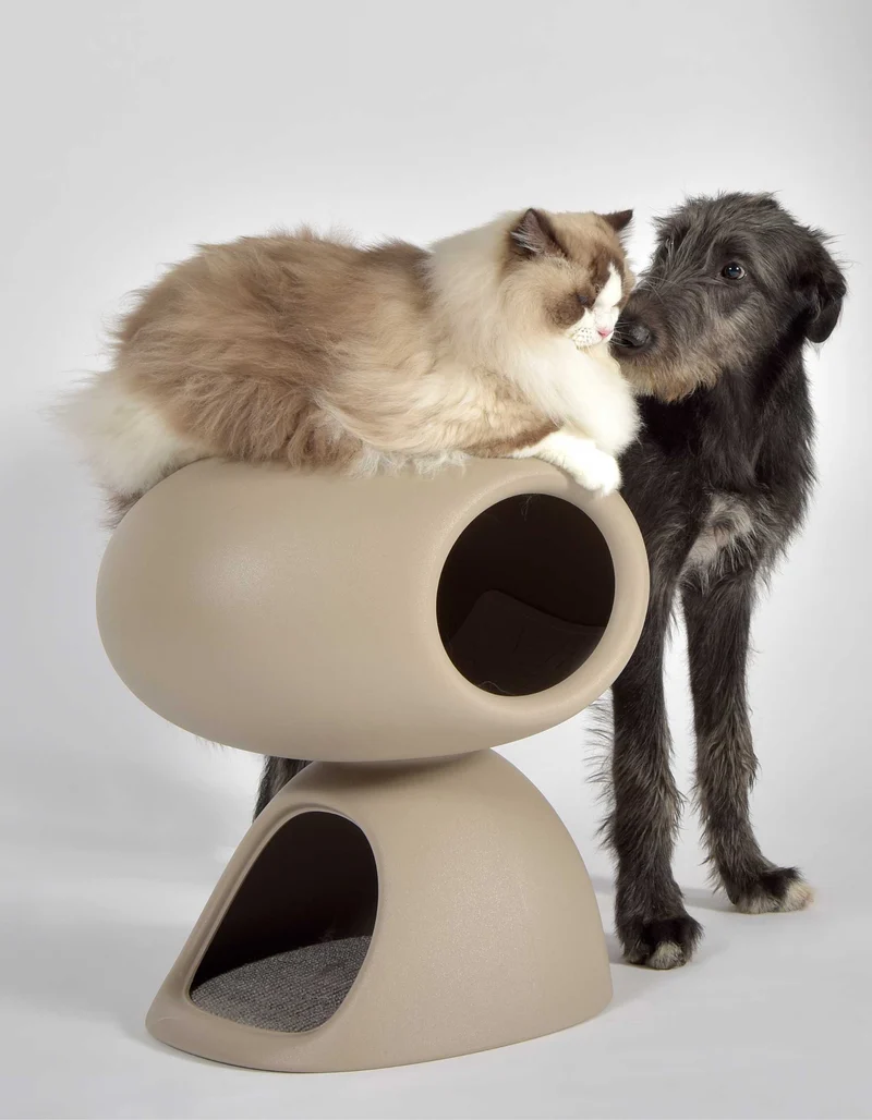 Stilvolles Katzenbett mit Kratzpfosten im modernen Design