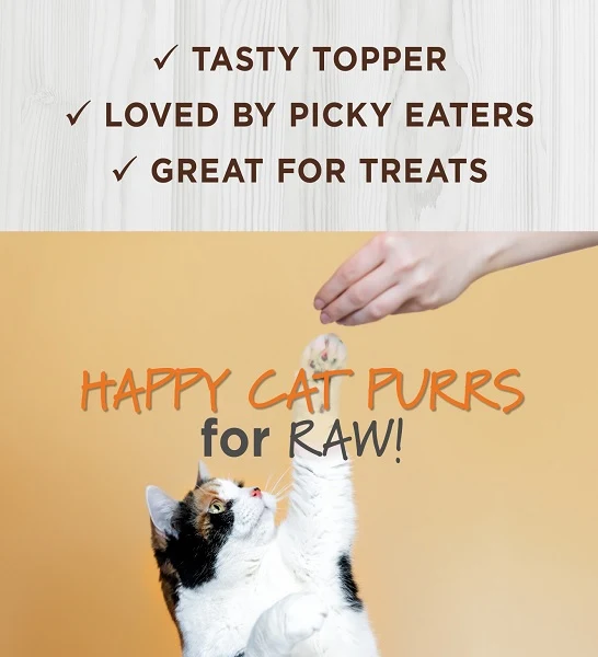 Instinct Raw Boost Mixers Skin & Coat Health Freeze Dried Cat Food Topper 5.5OZ