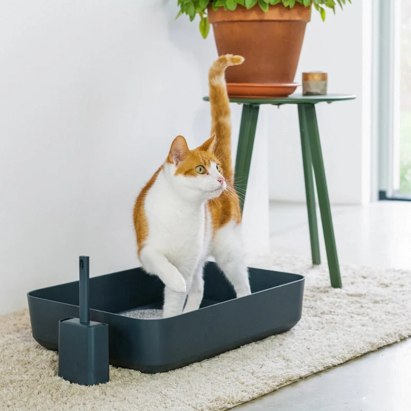 Katzentoiletten POH Grau