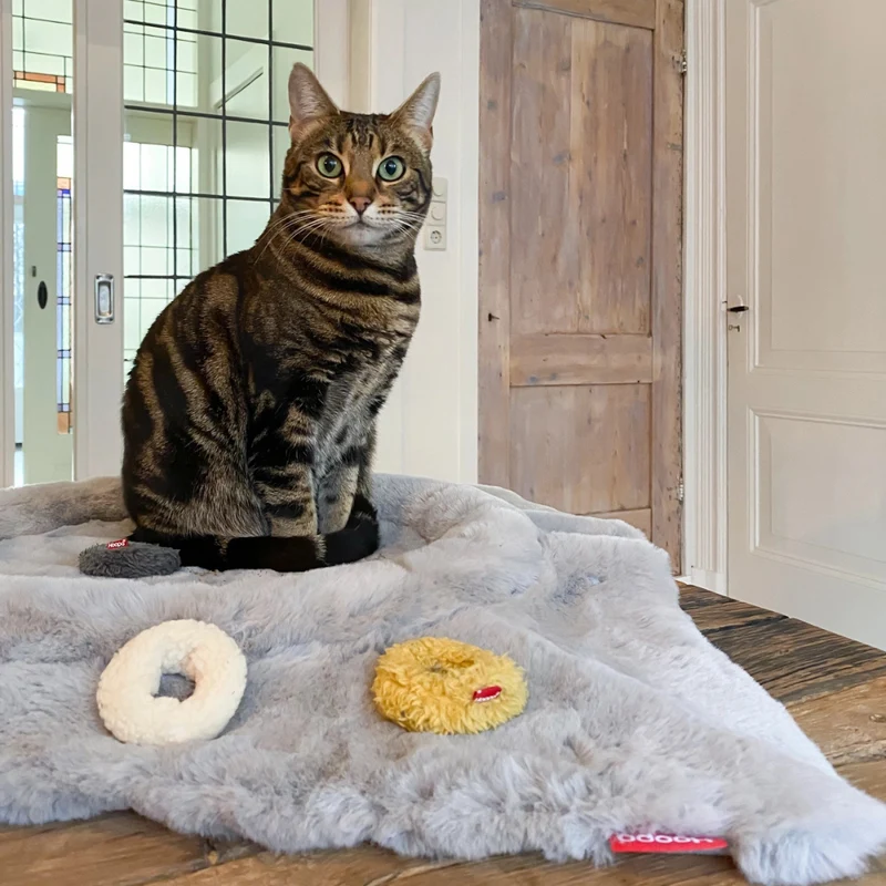 Katzenbett FLIP Hellgrau