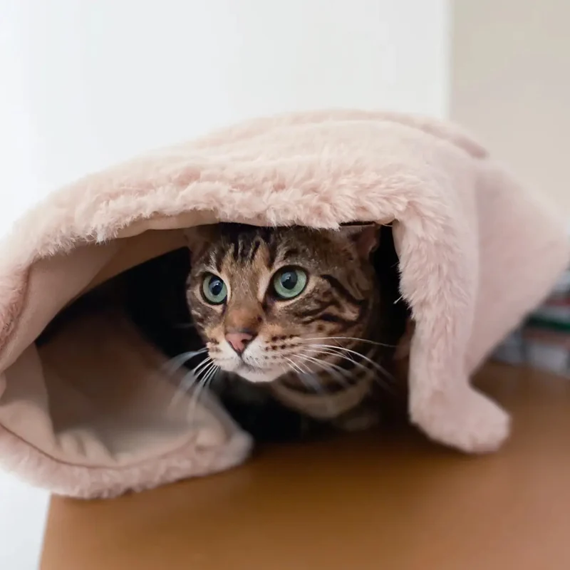 Katzenbett FLIP Braun