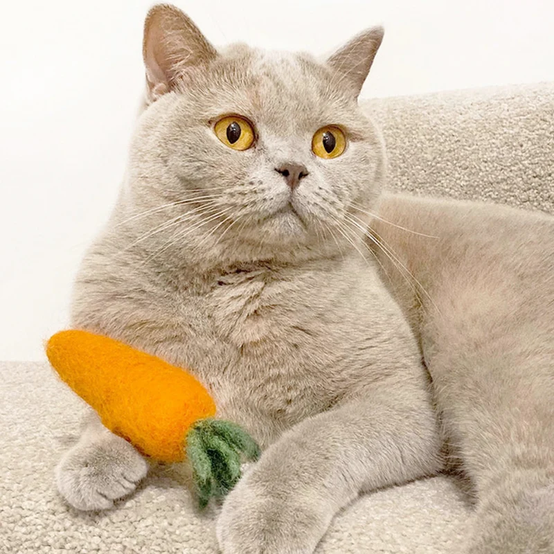 Katzenspielzeug KITTY CARROT