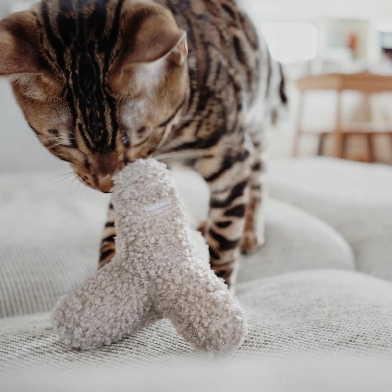 Katzenspielzeug KITTY BREUER Hafer