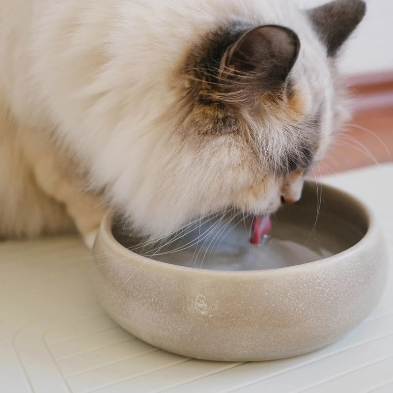Katzennapf GOURMET Creme (Wasser)