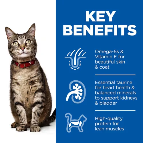 Hill's Science Plan Adult Cat Lamb Dry Food