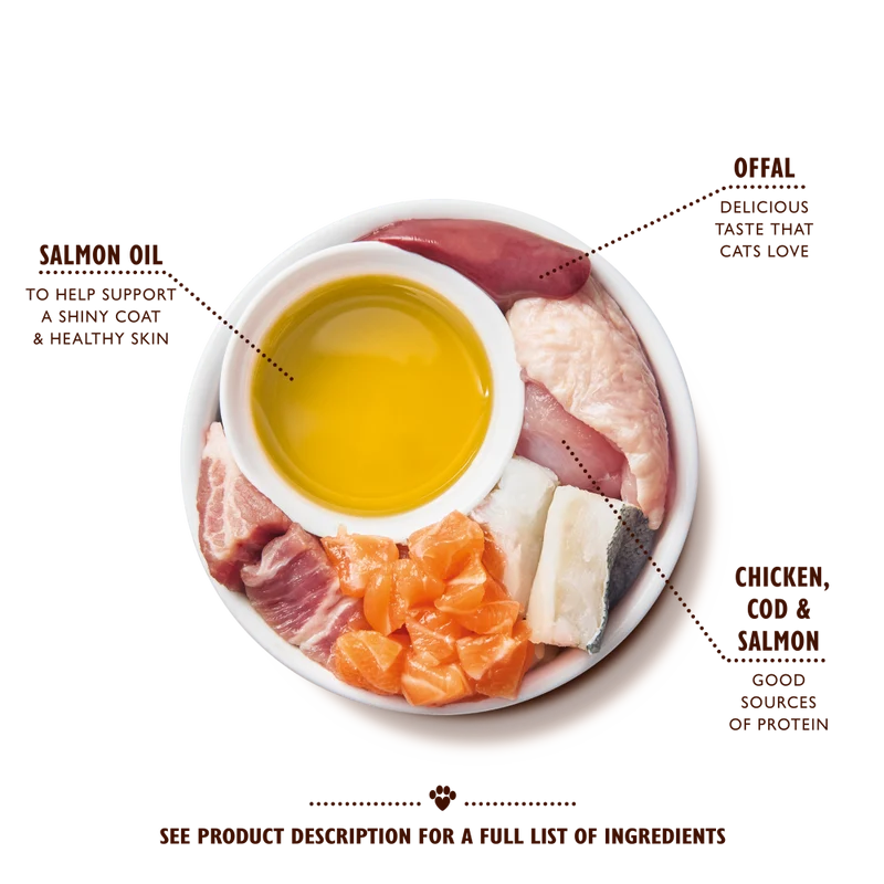 Lily's Kitchen Chicken Cod & Salmon Pate Kitten Wet Food