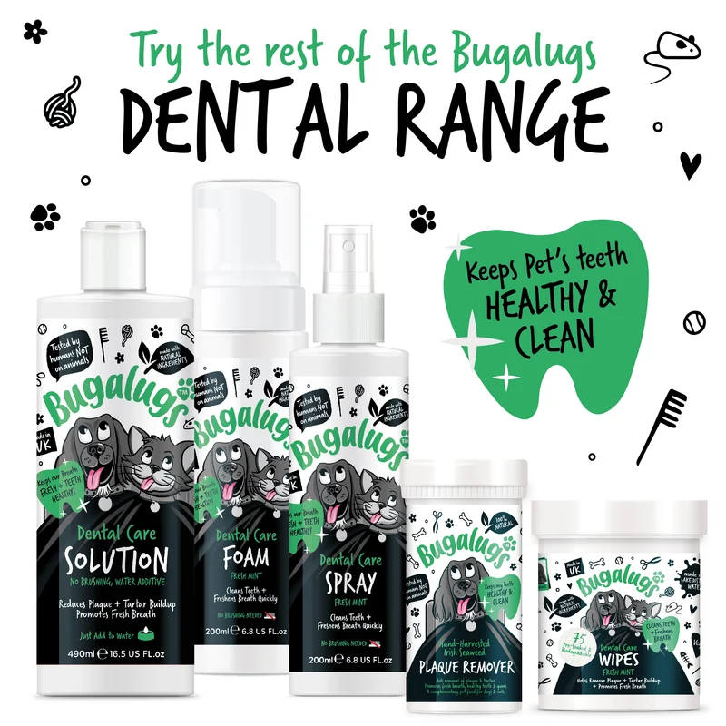 Bugalugs Dental Care Spray In Fresh Mint For Dogs & Cats 200ML