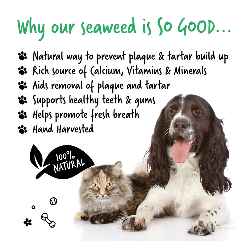 Bugalugs Plaque Remover for Cats & Dogs 70G