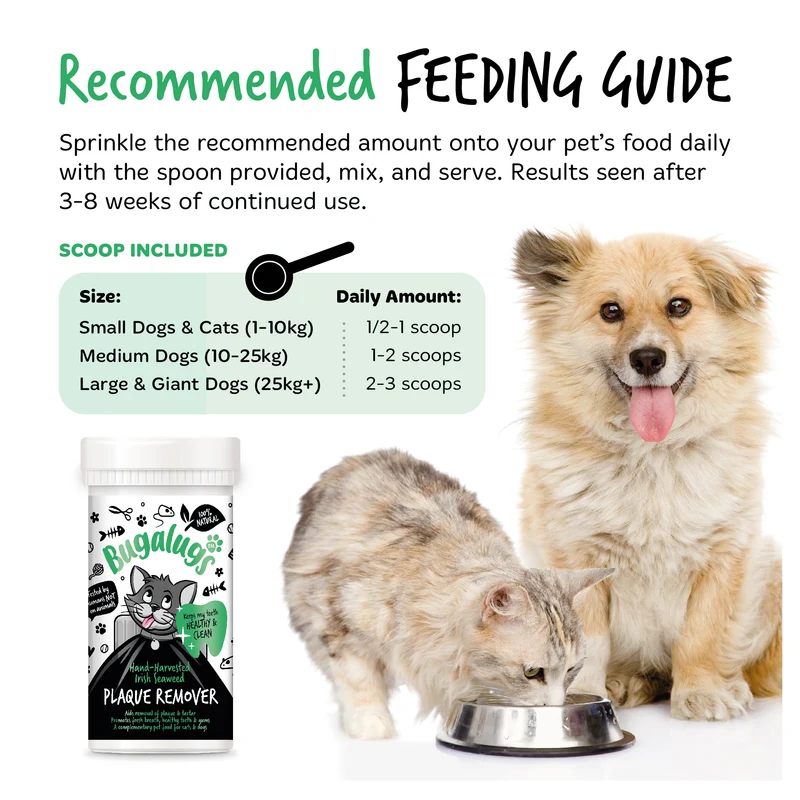 Bugalugs Plaque Remover for Cats & Dogs 70G