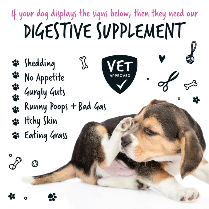 Bugalugs Pre & Probiotic Digestive Supplement for Dogs - 80G