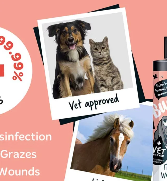 Bugalugs Antiseptic Itchy Skin & Wound Spray for Pets 200ML