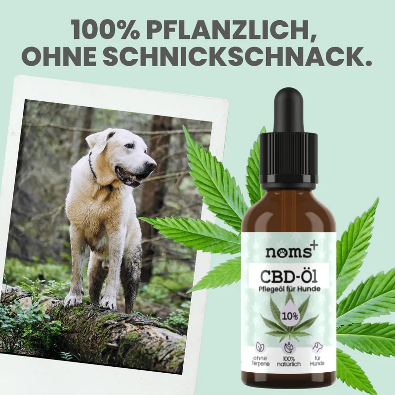Premium Hanfsamenöl Tropfen für Hunde
