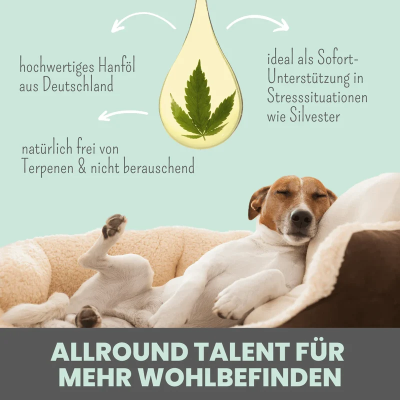 Premium Hanfsamenöl Tropfen für Hunde