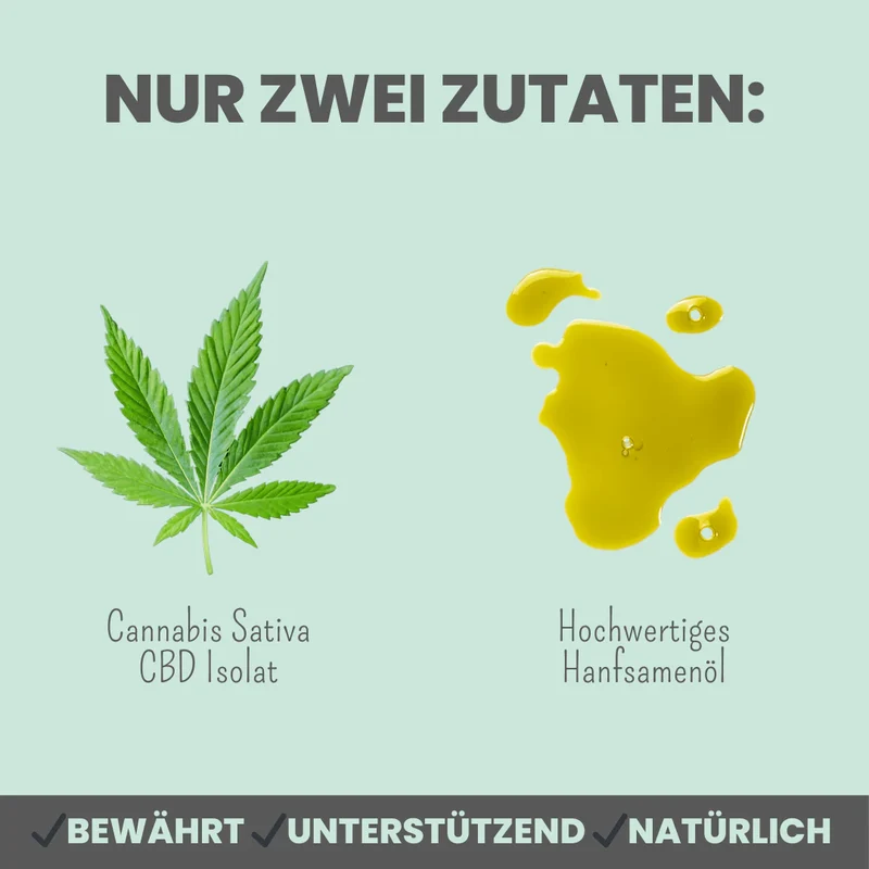 Premium Hanfsamenöl Tropfen für Hunde