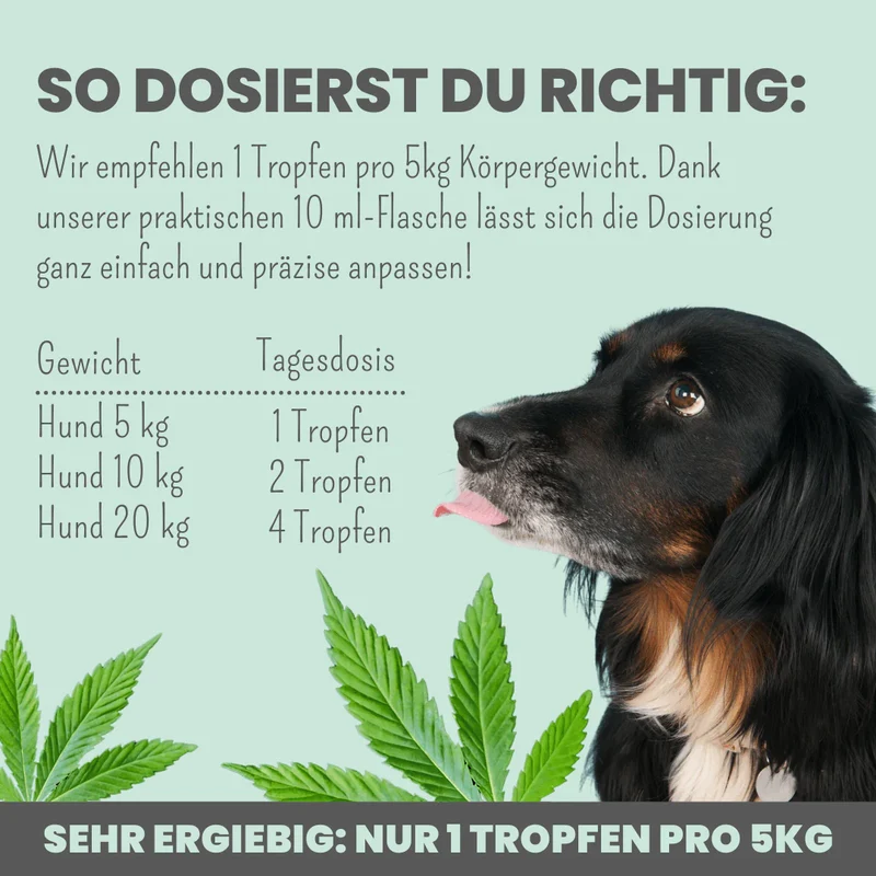 Premium Hanfsamenöl Tropfen für Hunde