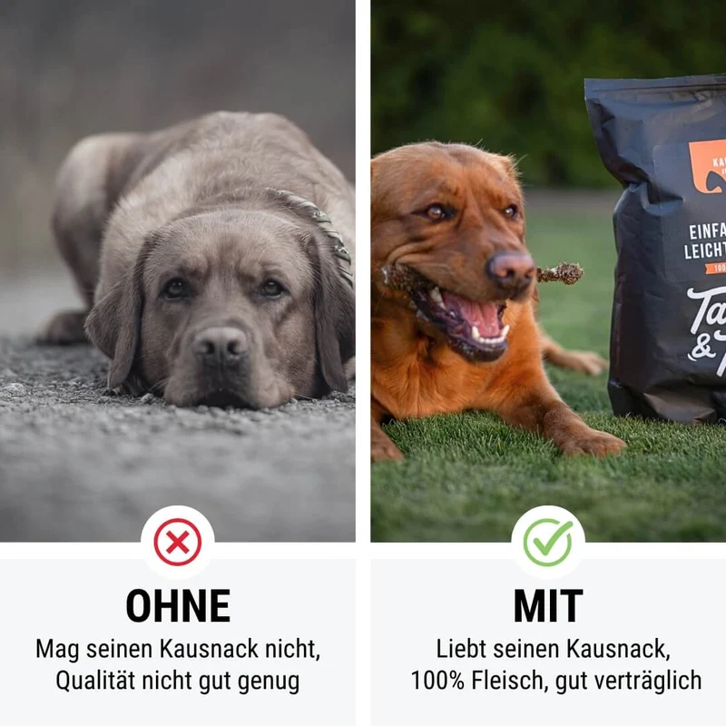 Einfach RinderLeicht genießen