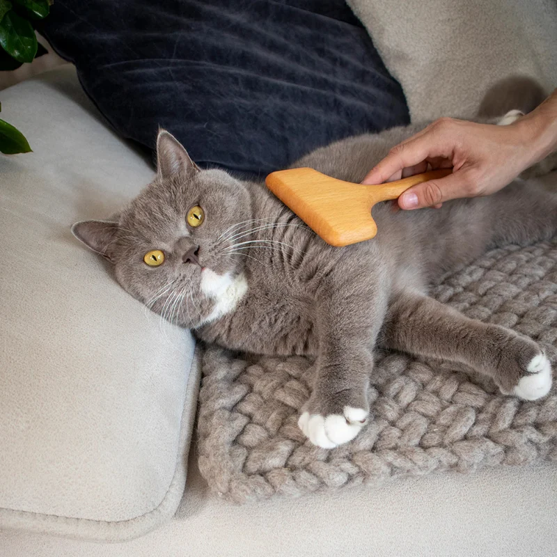 Fellpflegebürste HAIRY