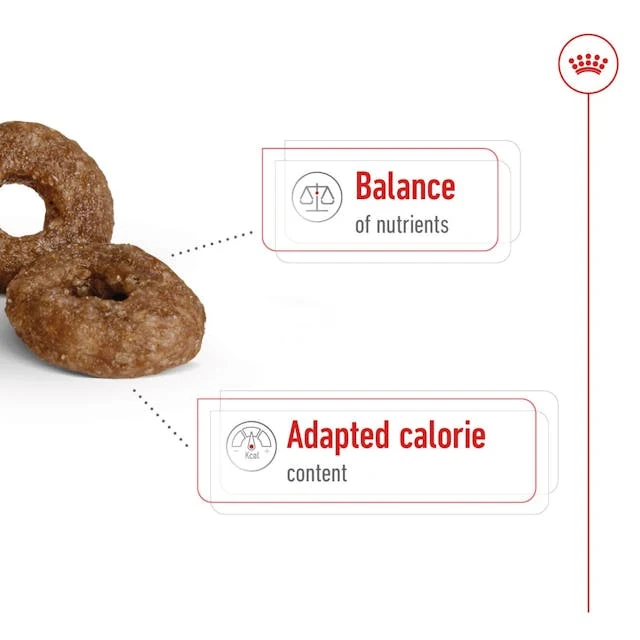 Royal Canin Mini Ageing 12+ Dry Dog Food 1.5KG