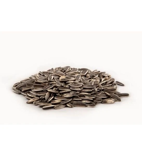 RIO Sunflower Seeds Bird Food 2KG