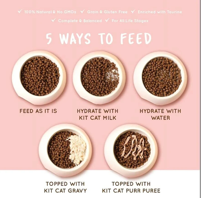 Kit Cat No Grain Kitten Recipe Super Premium Dry Food