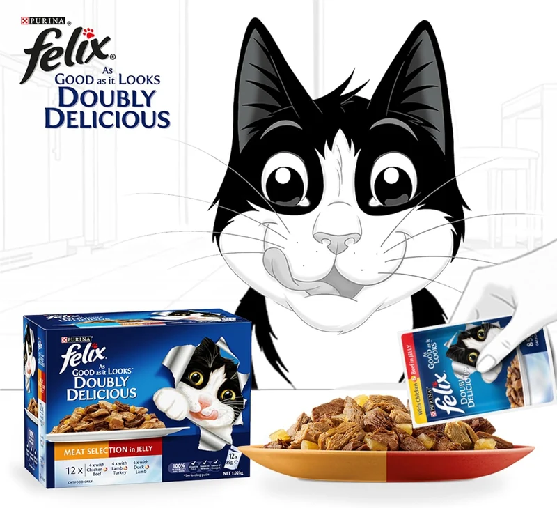 PURINA Felix Doubly Delicious Meat Selection in Jelly Pouch Wet Cat Food Pack 12X85G