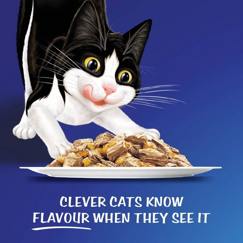 PURINA Felix Favorites Selection Pouch Wet Cat Food Pack 12X85G