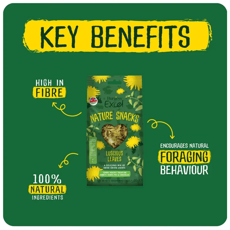 Burgess Excel Luscious Leaves Small Pet Treats 60G