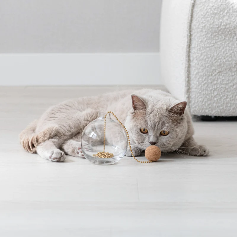 Katzenspielzeug TAIL