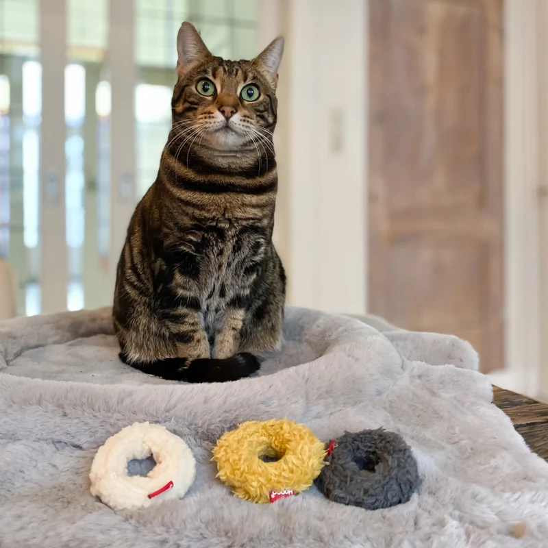 Katzenspielzeug 3er-Set MINI-DONUTS