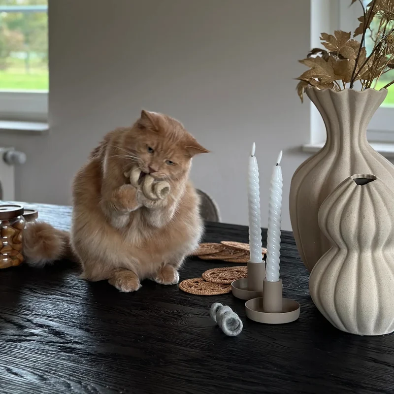 Katzenspirale SPIRA Blush