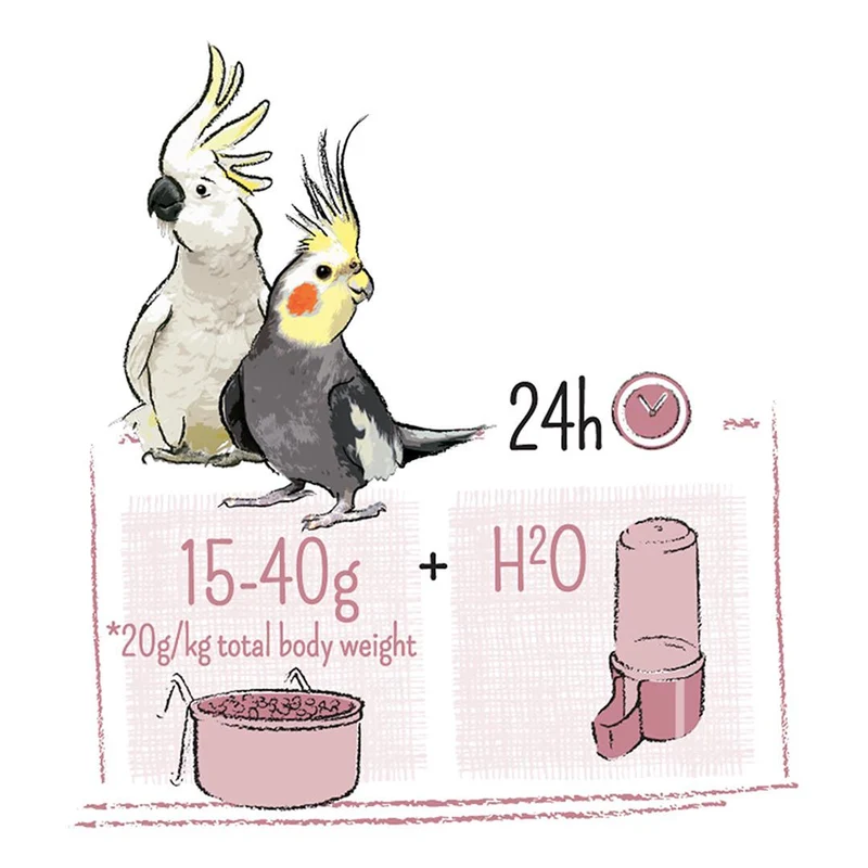 Witte Molen Puur Large Parakeets & Cockatoos Gourmet Seed Mix Bird Food 2KG