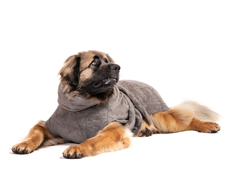 Lill’s Hundebademantel aus Bio-Baumwolle – weich, saugstark & GOTS-zertifiziert