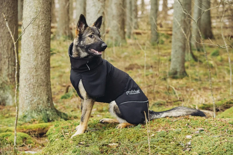 Rukka - Windy Thermal Jacket - Thermo Hundejacke